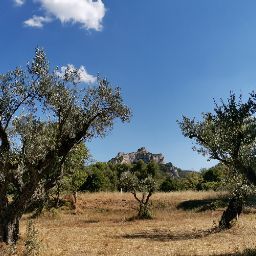 Pauline Sanchez Photo 4