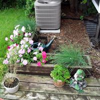 Sandra Goldstein Photo 22