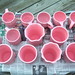 Michele Glaze Photo 14