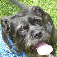 James Renfroe Photo 16