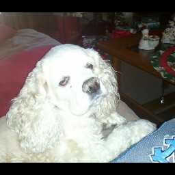 Rick Richmond Photo 2