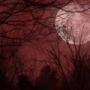 Steven Lanham Photo 22