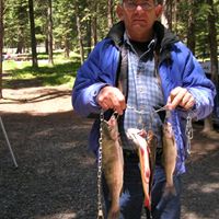 Ronald Lang Photo 18