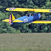 David Stearman Photo 28