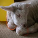 Bruce Lamb Photo 24