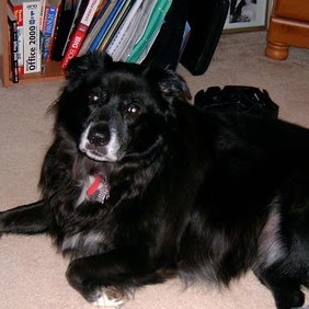 Gregory Ramsey Photo 9