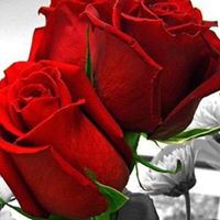 Kristie Morris Photo 17