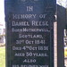 Daniel Reese Photo 40