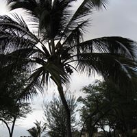 Celia Robinson Photo 9