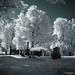 Daniel Reynolds Photo 38