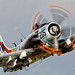 Douglas Blake Photo 14