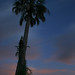 Dawn Payne Photo 45