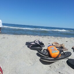 Cindy Sherwood Photo 21