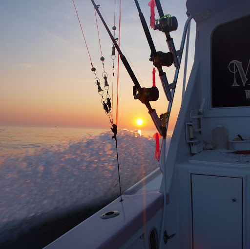 Joshua Strunk Photo 15