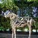 Deborah Holzer Photo 5