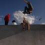 John Kenney Photo 21