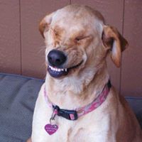 Michele Whatley Photo 6