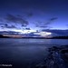 Vincent Roche Photo 9