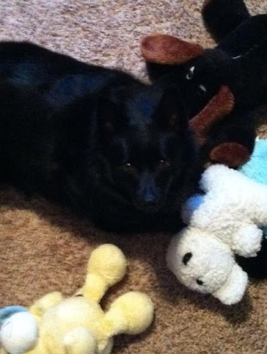 Laura Richter Photo 13