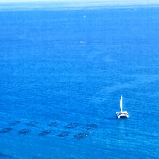 Carmen Lowe Photo 18