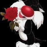 Jeffrey Gallo Photo 11