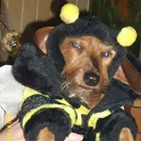 Diane Mcmillan Photo 25