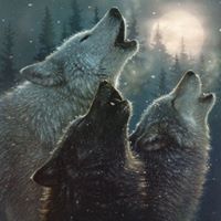 Gary Galasso Photo 10