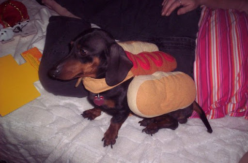 Debra Gates Photo 13