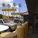 Dallas Singleton Photo 8
