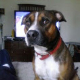 Stephen Clary Photo 19