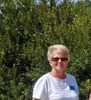 Carol Long Photo 25