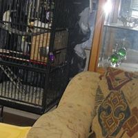 Hoa Tang Photo 21