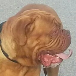 Bryan Magee Photo 29