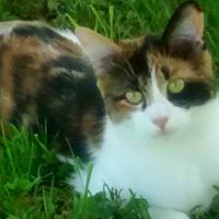 Sylvia Warren Photo 19