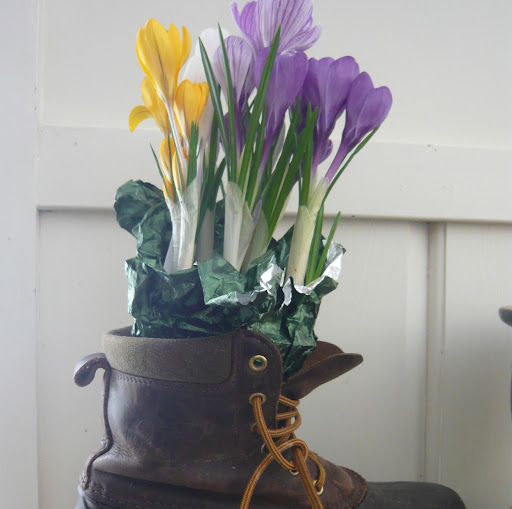 Cindy Heath Photo 20