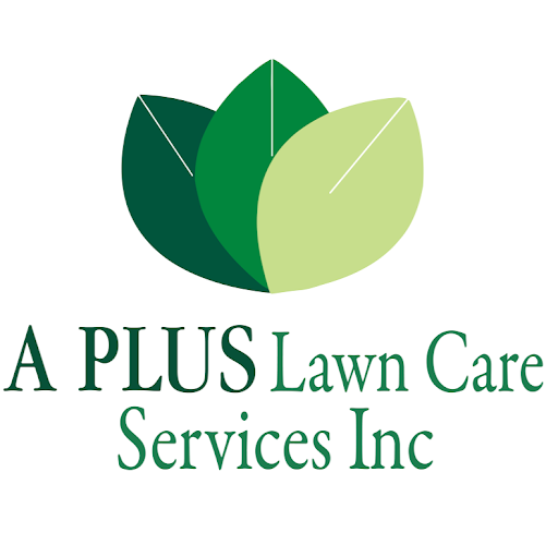 Kenny Sanchez Photo 29