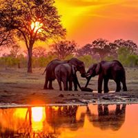 Juanita Harding Photo 16