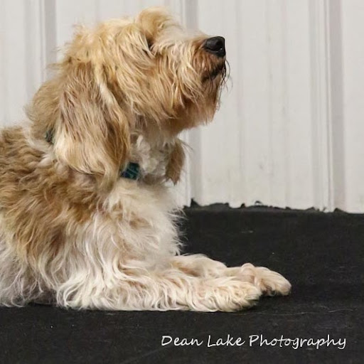 Ruth Hoffman Photo 13 Ruth Hoffman Photo 13