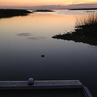 Fredrick Thompson Photo 20