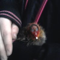 Harry Barbour Photo 1