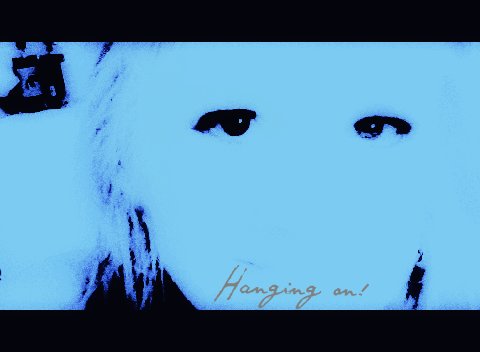 Rachael Williams Photo 48 Rachael Williams Photo 48