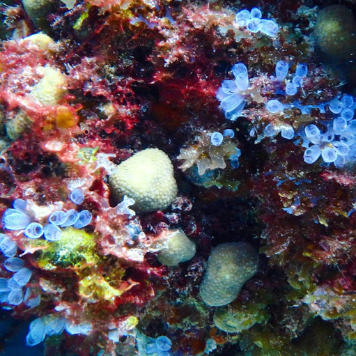 Sharon Teter Photo 4