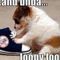 Stephanie Comeau Photo 22