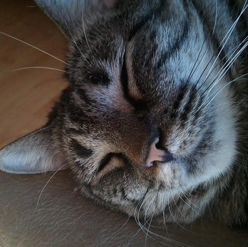 Steven Crocker Photo 5