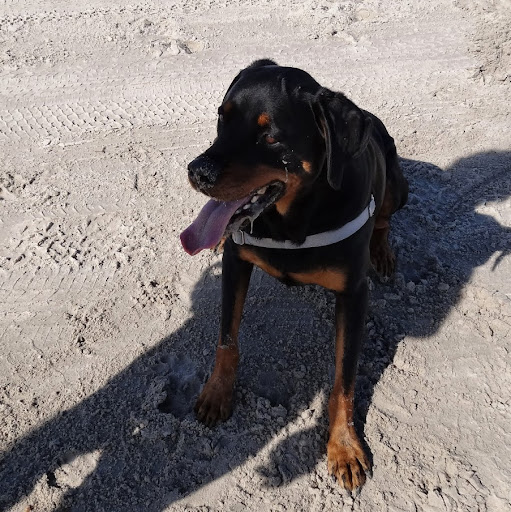 Amy Mccrary Photo 15