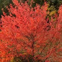 Susan Erwin Photo 10