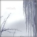 Albert Summers Photo 12