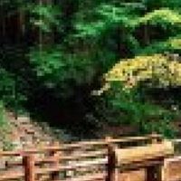 Joanna Griffith Photo 20