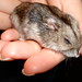 Juanita Winter Photo 8