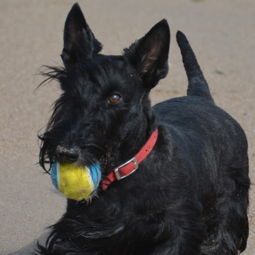 Robin Coles Photo 20